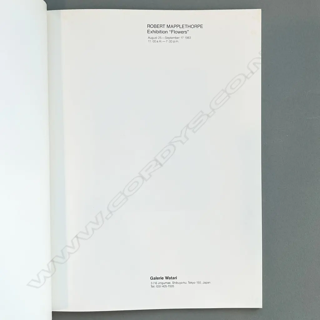 ROBERT MAPPLETHORPE: FLOWERS Image 1++